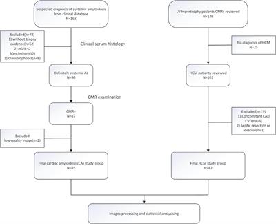 Differentiating between cardiac amyloidosis and hypertrophic cardiomyopathy on non-contrast cine-magnetic resonance images using machine learning-based radiomics